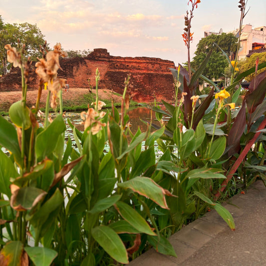 old town walls witha moat and greenery surrounding 