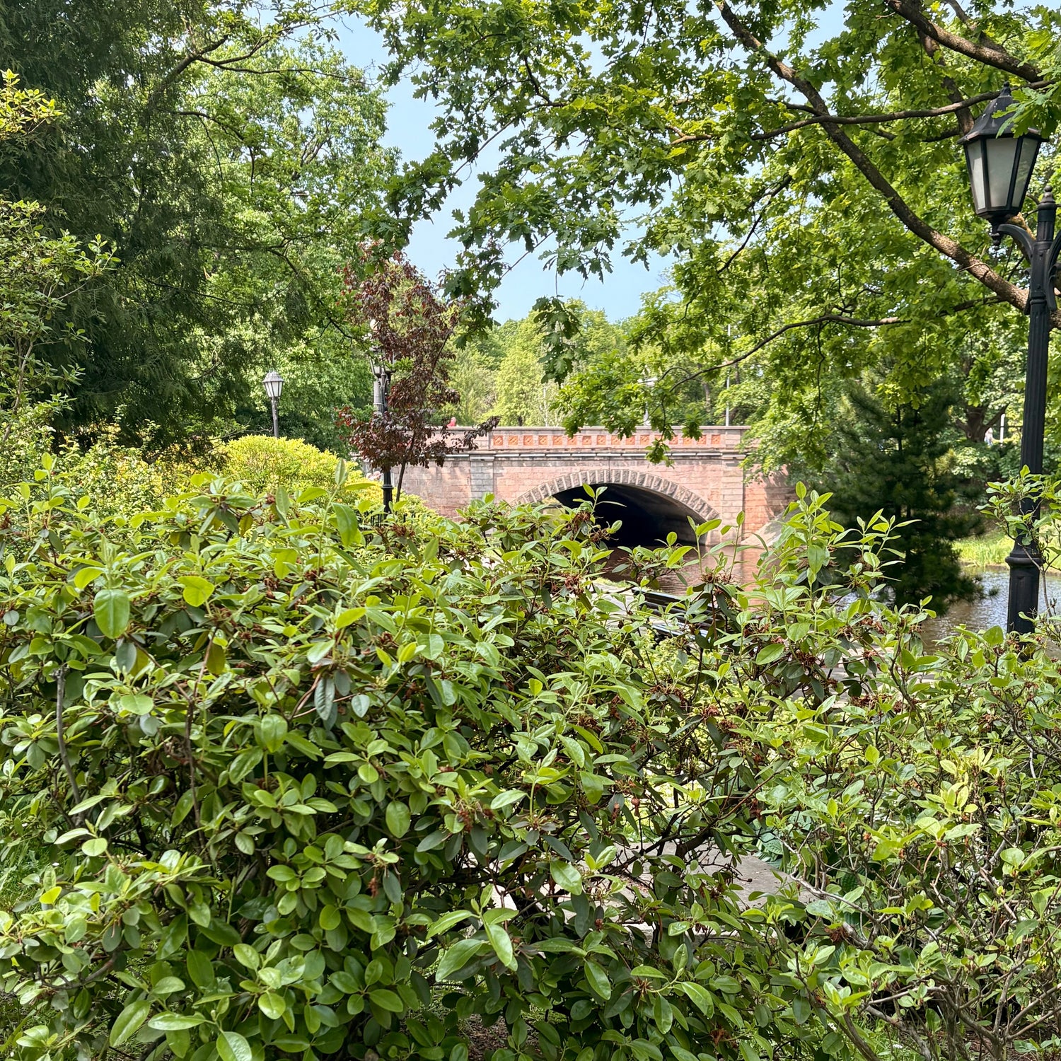 Green park scene with a stone archway in the background