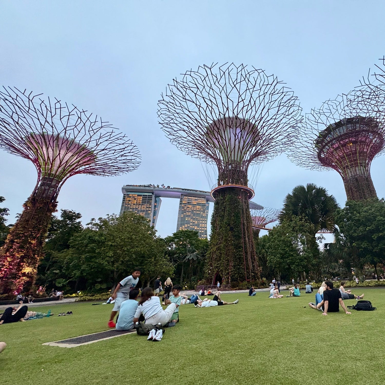 People sitting on grass in front of large, futuristic tree-like structures with the Marina Bay Sands in the background.
